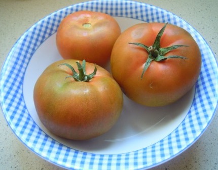 Tomates En Ensaladas